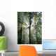 Sun Waldbaum Wall Decal