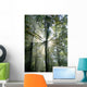 Sun Waldbaum Wall Decal