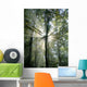 Sun Waldbaum Wall Decal