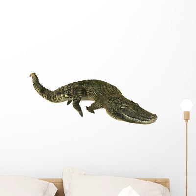 American Alligator Wall Decal shown on a wall