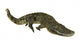 American Alligator Wall Decal
