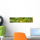 Park Spring Time Wall Decal Panoramic Wall Decal