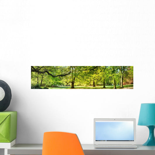 Park Spring Time Wall Decal Panoramic Wall Decal
