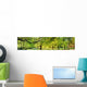 Park Spring Time Wall Decal Panoramic Wall Decal
