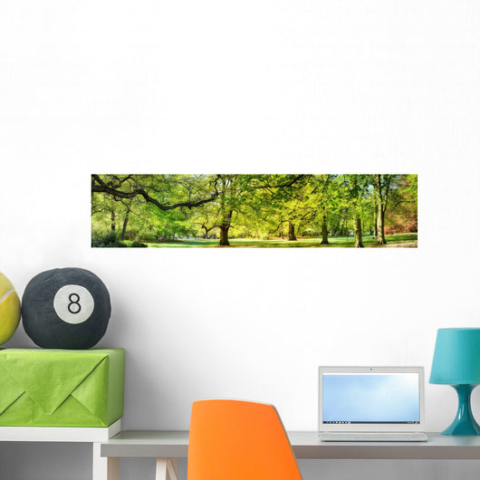 Park Spring Time Wall Decal Panoramic Wall Decal