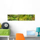 Park Spring Time Wall Decal Panoramic Wall Decal