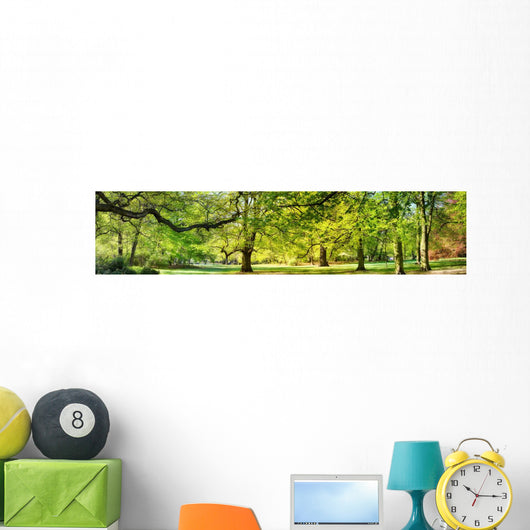 Park Spring Time Wall Decal Panoramic Wall Decal