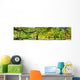 Park Spring Time Wall Decal Panoramic Wall Decal