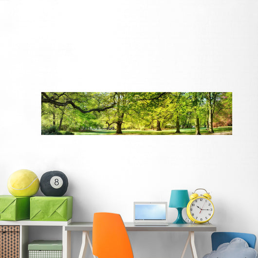 Park Spring Time Wall Decal Panoramic Wall Decal