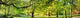 Park Spring Time Wall Decal Panoramic Wall Decal