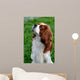 Cavalier King Charles Spaniel Wall Mural