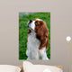 Cavalier King Charles Spaniel Wall Mural