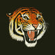 Tiger Roar Drawing Wall Decal