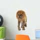 Male Lion Wall Decal