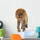 Male Lion Wall Decal