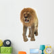 Male Lion Wall Decal