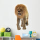 Male Lion Wall Decal