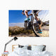 Deportes Bicicleta Montana Y Wall Decal