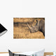 Lone rhino standing on open area looking for safety from poacher Wall Mural
