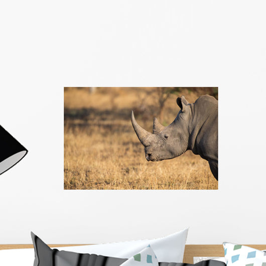 Lone rhino standing on open area looking for safety from poacher Wall Mural