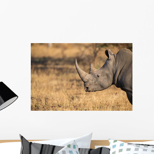 Lone rhino standing on open area looking for safety from poacher Wall Mural