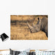 Lone rhino standing on open area looking for safety from poacher Wall Mural