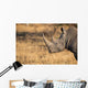 Lone rhino standing on open area looking for safety from poacher Wall Mural
