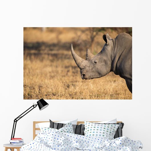 Lone rhino standing on open area looking for safety from poacher Wall Mural