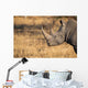 Lone rhino standing on open area looking for safety from poacher Wall Mural
