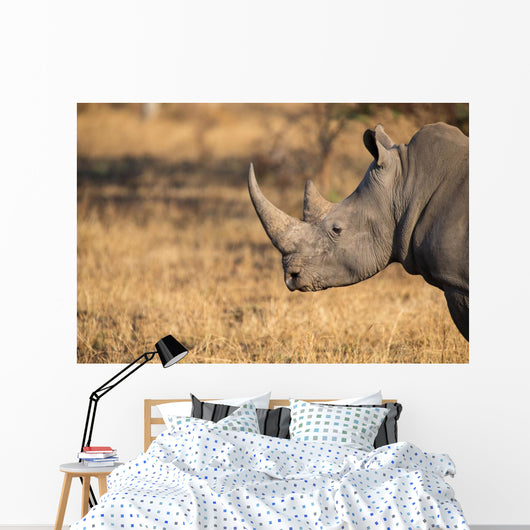 Lone rhino standing on open area looking for safety from poacher Wall Mural