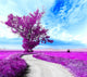 Paisaje Surrealista Arbol Y Wall Decal