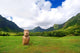 Easter island head on Kualoa Ranch, Oahu Wall Mural