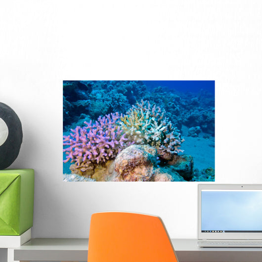 Finger Coral Tropical Underwater Wall Decal
