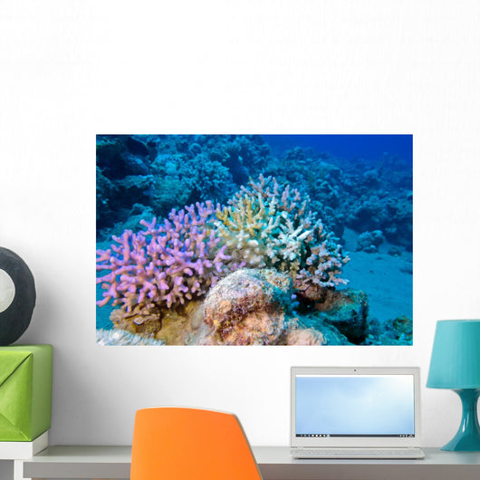 Finger Coral Tropical Underwater Wall Decal