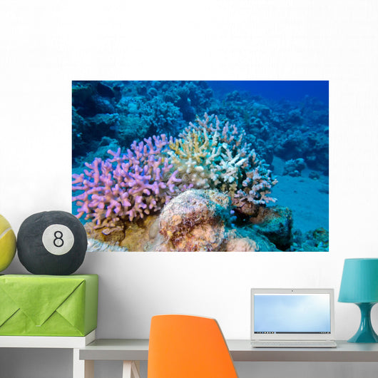 Finger Coral Tropical Underwater Wall Decal