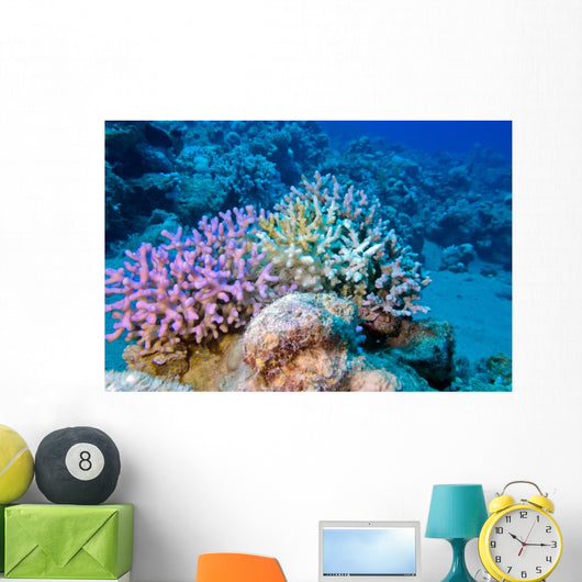 Finger Coral Tropical Underwater Wall Decal