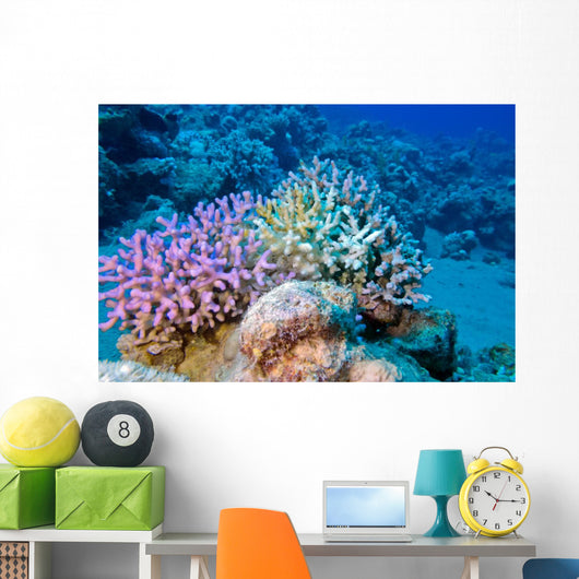 Finger Coral Tropical Underwater Wall Decal