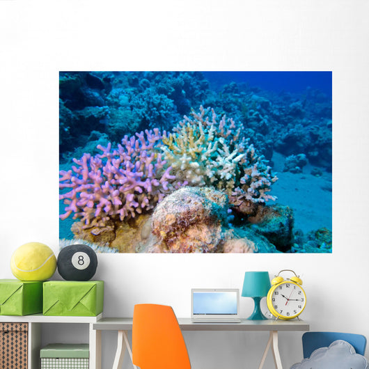 Finger Coral Tropical Underwater Wall Decal