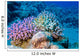 Finger Coral Tropical Underwater Wall Decal