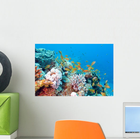Coral Reef with Shoal Wall Decal