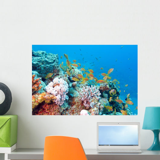 Coral Reef with Shoal Wall Decal