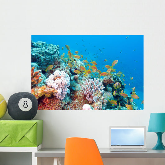 Coral Reef with Shoal Wall Decal