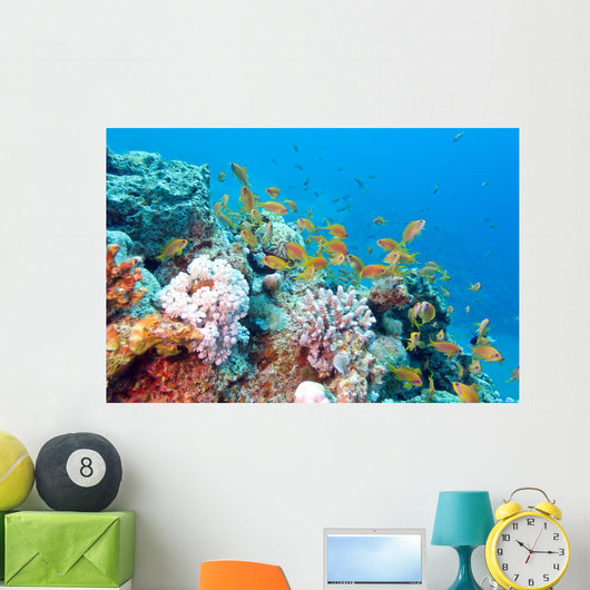 Coral Reef with Shoal Wall Decal