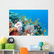 Coral Reef with Shoal Wall Decal
