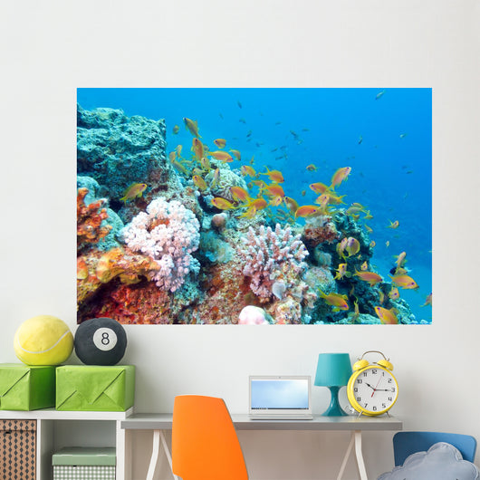 Coral Reef with Shoal Wall Decal