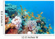 Coral Reef with Shoal Wall Decal