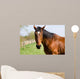 Brown Horse Wall Decal