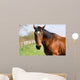Brown Horse Wall Decal