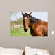 Brown Horse Wall Decal