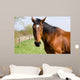 Brown Horse Wall Decal